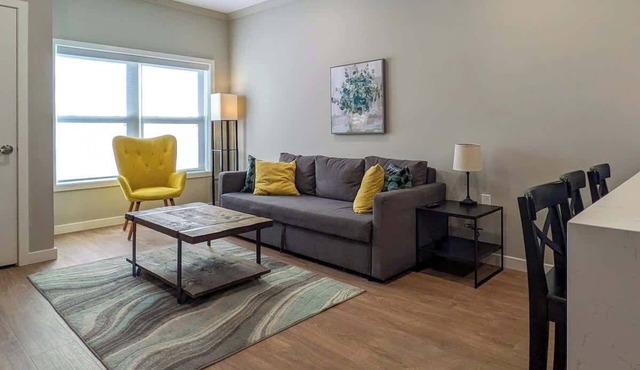 229 Brand New 1 Bedroom, 1 Bath, 1 Kitchen, 1 Liv