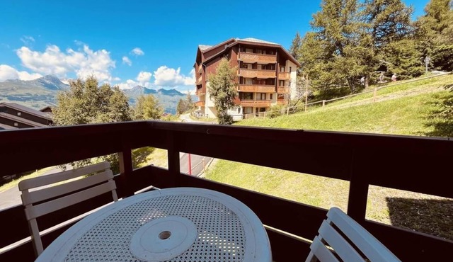 230m from resort center, floor -2, balcony, tv, ski locker, 20m², Peisey-Vallandry