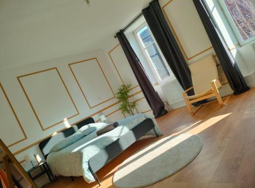 25 min Christmas Market and Strasbourg center-WiFi-TV