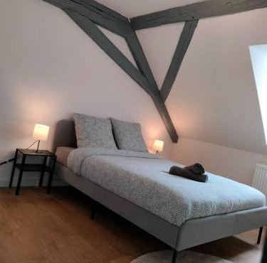 25 min Christmas Market and Strasbourg center-WiFi-TV