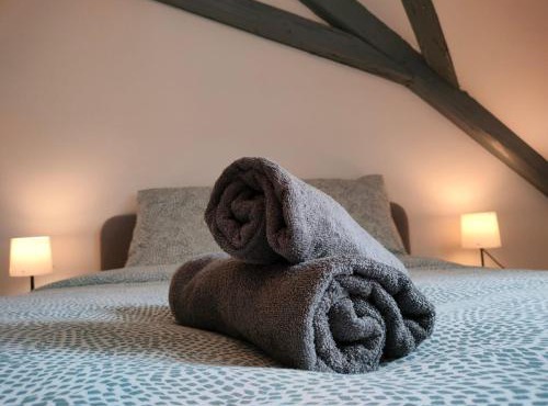 25 min Christmas Market and Strasbourg center-WiFi-TV