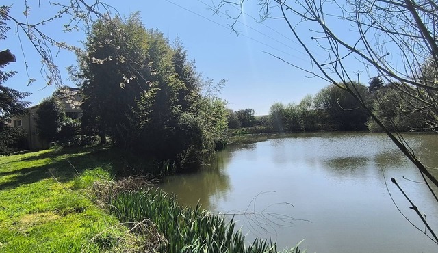25 minutes from Puy du Fou: La maison du Lac