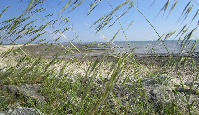 25 sqm apartment on sunny courtyard