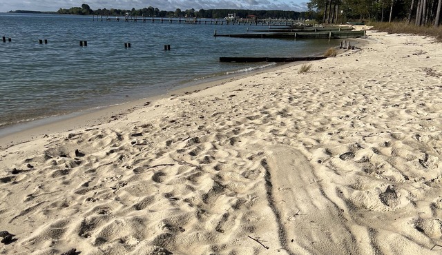 250 ft Private Beach & Dock- The Perfect Riverfront Family Friendly Retreat