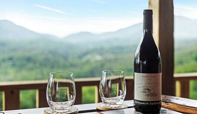 270° Mountain Views at EverLight Mountain Escape - Couples Retreat