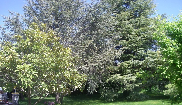 285 m² villa with 2500 m² enclosed and 9x4 swimming pool heated to 30°.