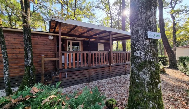 29 Residence Quiètude 35 m2, Covered terrace, Dishwasher + Television 5 persons