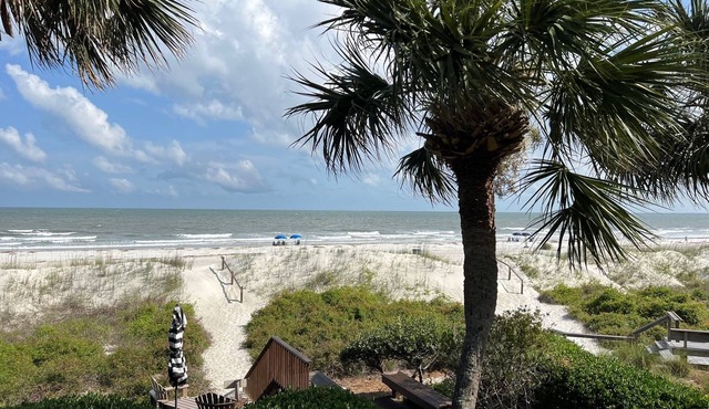 29 Turtle Lane Club: BESTNEST by Beverly Serral OCEANFRONT