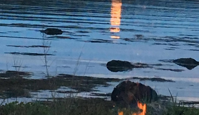 2bd, on Pigeon Hill Bay, fire pit, star lit sky, AC in loft, quiet