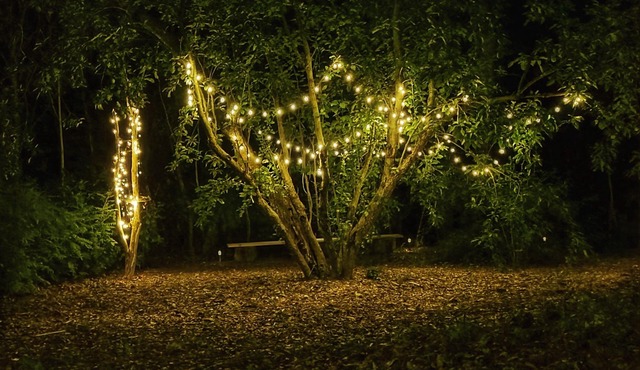 2Bdr rural home w firepit, front & back decks w BBQ. 10 mins to all amenities!