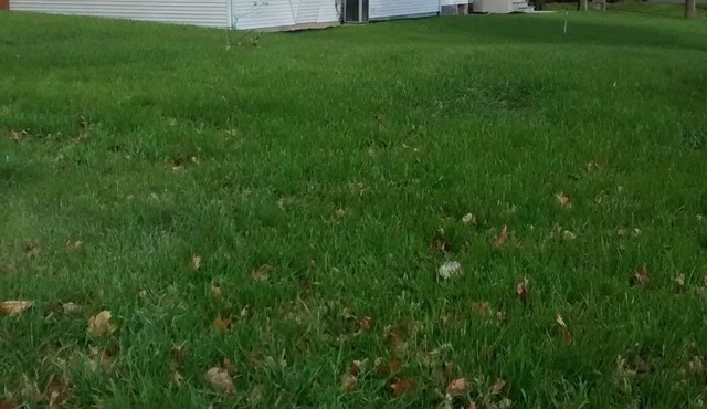 2BDR Suite w/Bathroom in Horsham, PA