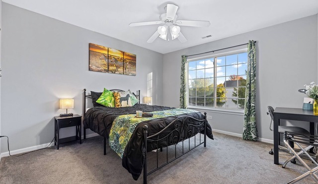 2bdrms/1.5bath-5beds/Quiet/Laundry/Jungle Theme/FREE Wifi/Sleep6