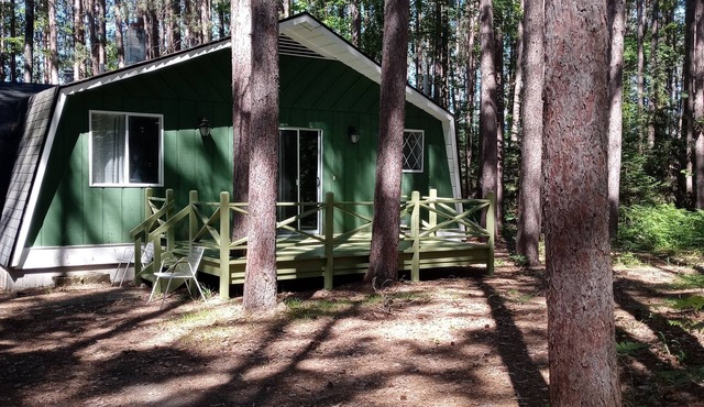 2bed Up North Cabin with hiking area -5 min to Au Sable river, orv trails & golf