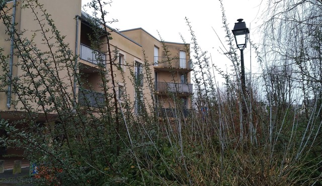 2bedroom apartment near Versailles, stores and transport, Bois de la Genestre.