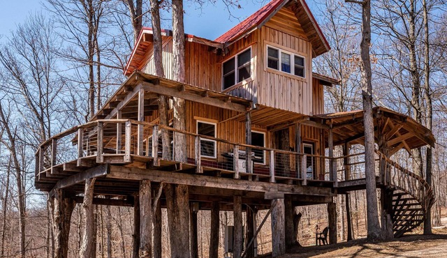 2BR, 1BA HAND BUILT MOUNTAIN TOP TREE HOUSE with Hot tub