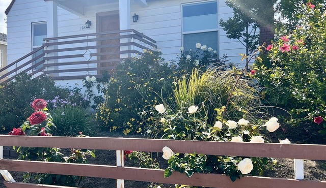 2br/1ba Mid-Wilshire Hideaway— Where LA Comes Together. Quiet, central retreat.