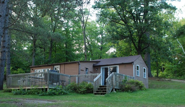 2BR Cabin Nestled in Towering Pines on a quiet lake. Pets accepted!