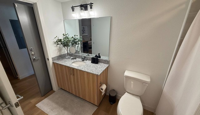 2BR Cozy & Lux Houston High-Rise