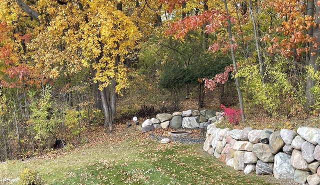 2BR Family-Sized Lower Suite with Private Entrance & Spacious Backyard!