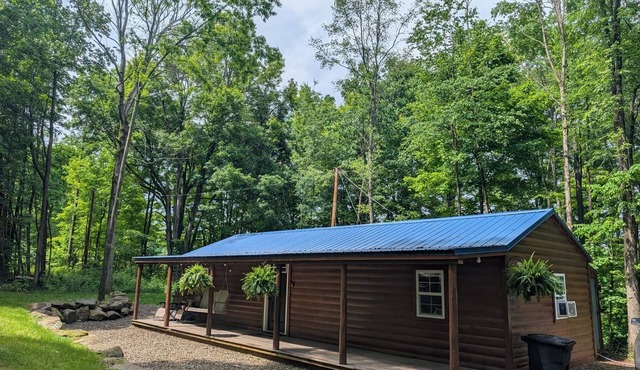 2BR Woods Cabin Fast WiFi & Fire PIt Getaway