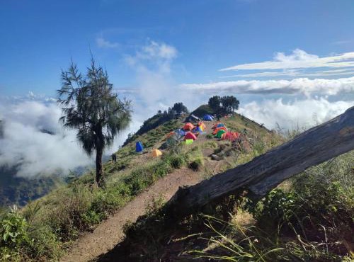 2Days Shared Camping At Mount Rinjani