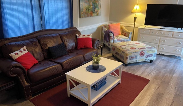 3/2 Sunken Treasure Spacious Home in college town of Troy with WiFi, AC