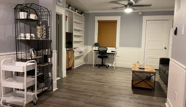 (3) 320 Unit #3 · Downtown St. Pete/Historic Old NE #3