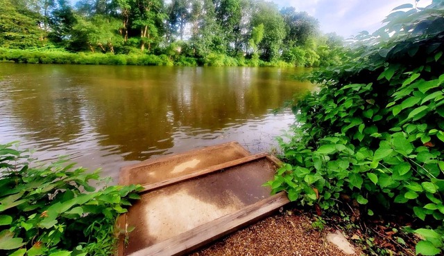 3.5 Acres of Sunny, Scenic, Swim & Fun for Everyone!