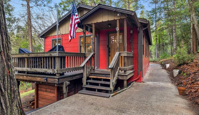 3-Acre Luxury Retreat | Sleeps 35 | 2 Cabins | Sauna, Hot Tubs, Firepits & More