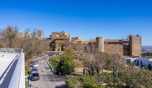 3 apts, sleeps 12, opposite Parador, rooftop terrace + private lounge ~ Casa Xanadu Carmona