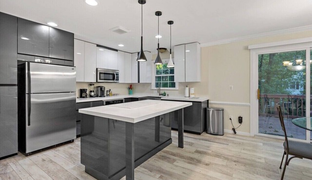 3 Bd 2 1/2 bath Chic Large.30mto DC, 12min to IDA