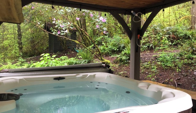 3 BDR Country Home on 5 acres with hot tub, fire pit and private creek