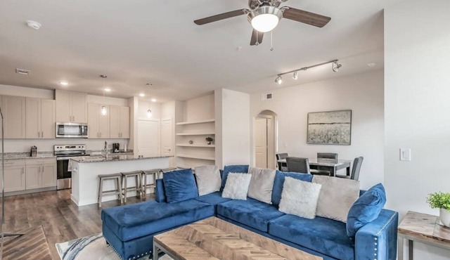 3 BDR Texas Corporate Housing Professional Apt