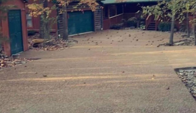 3 Bed 2 Bath Cabin Patoka Lake