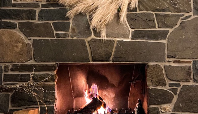 3 bed home with fireplace, 25 mins from Ski Big Bear