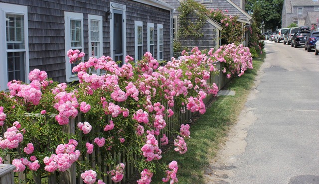 3 bedroom, 2 bathroom newly renovated in the heart of Sconset with new HVAC