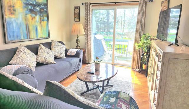3-bedroom, 3-bathroom condo in fantastic Poland with WiFi, AC, fitness room