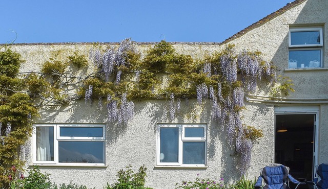 3 bedroom accommodation in West Quantoxhead