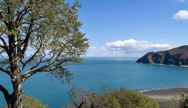 3 bedroom accommodation in Chittlehampton