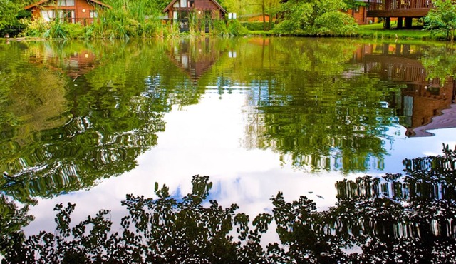 3 bedroom accommodation in Forest of Dean