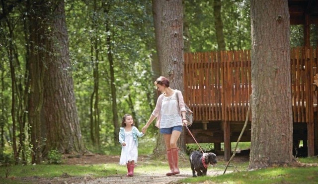 3 bedroom accommodation in Nr Pickering