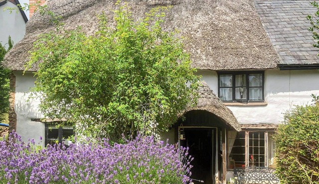 3 bedroom accommodation in Cullompton