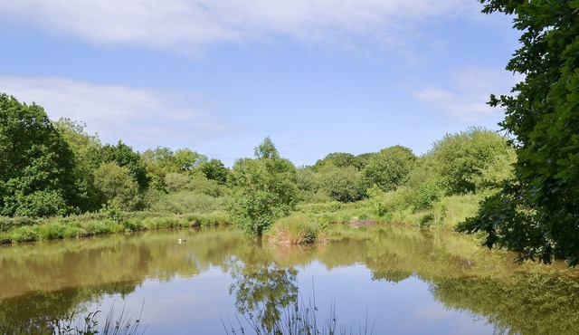 3 bedroom accommodation in Bridestowe, near Okehampton