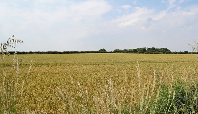 3 bedroom accommodation in Hogsthorpe, near Skegness