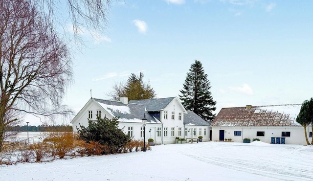 3 bedroom amazing home in Herning