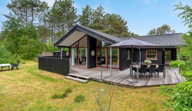 3 bedroom amazing home in ålbæk