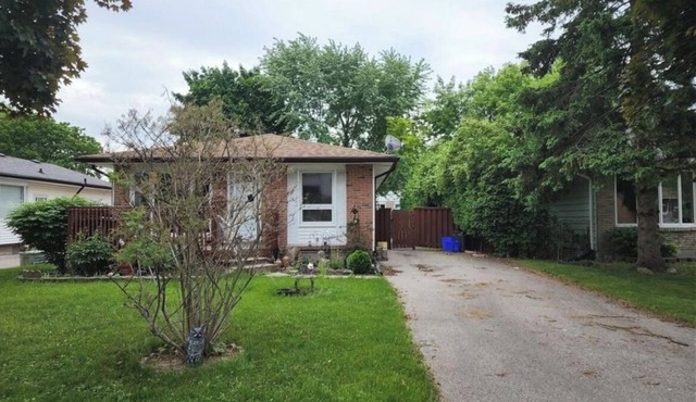3 bedroom and one sofa bed house in London