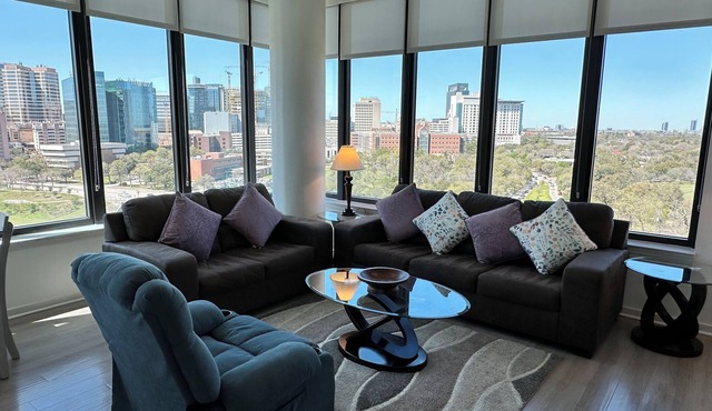3-bedroom apartment in Houston medical center