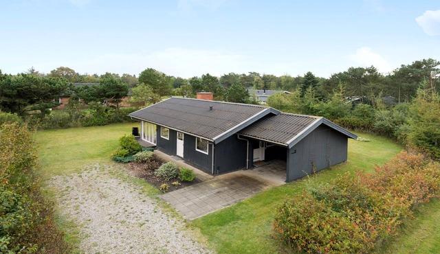 3 bedroom awesome home in Skjern