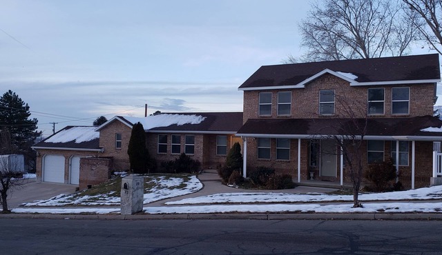 3 Bedroom Basement Suite with Kitchen